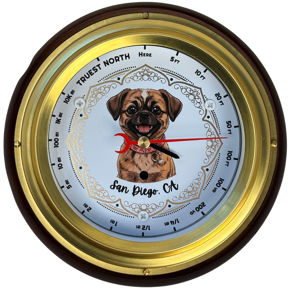 Truest North Compass