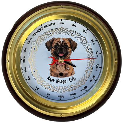 Truest North Compass